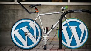 Wordpress-wtyczki