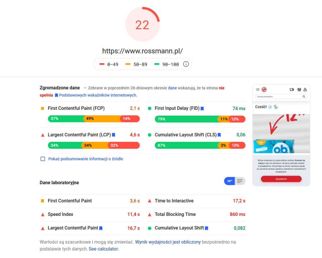 screen testu strony z narzędzia google speed insights