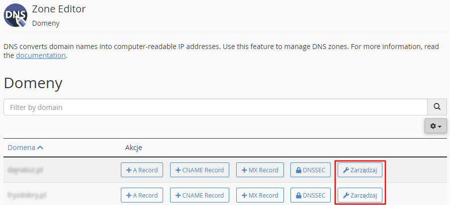 Ekran zarządzania dns