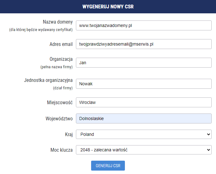 Uzupełnianie formularza CSR