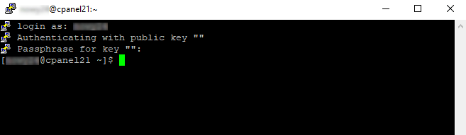 putty wiersz polecen