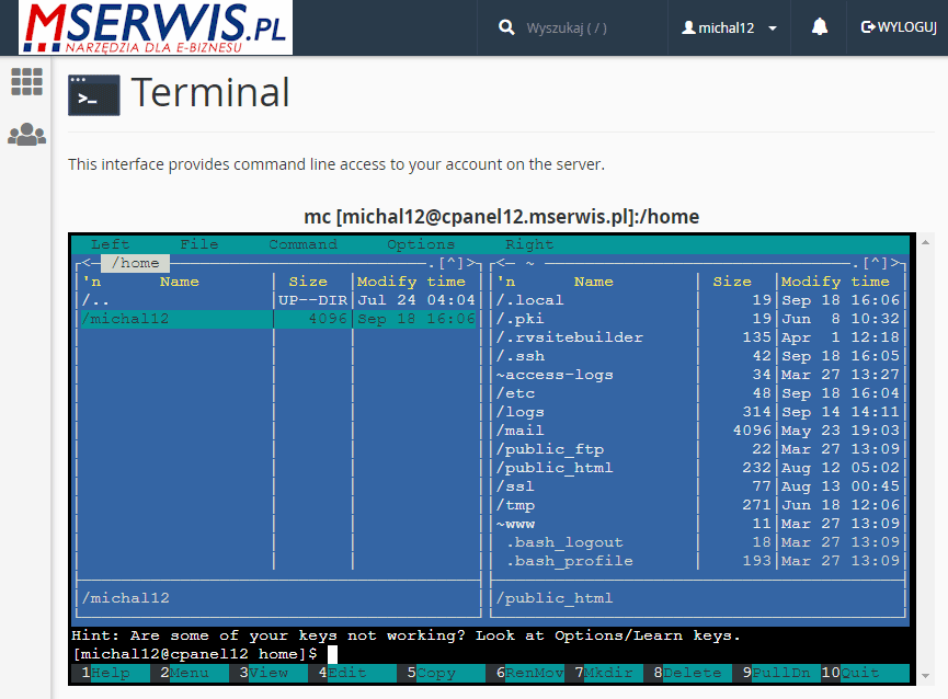 Pomoc - terminal SSH